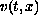 $v(t,x)$