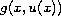 $g(x,u(x))$