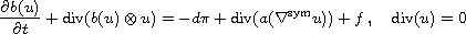$$
\frac{\partial b(u)}{\partial t} + \hbox{div}(b(u) \otimes u)
= - d\pi + \hbox{div}(a(\nabla^{\rm sym} u)) + f \,, \quad
\hbox{div}(u) = 0
$$