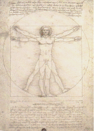 Leonardo's Vitruvian Man