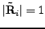 $\vert\tilde{{\bf R}}_{i}\vert=1$