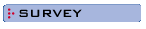 Survey