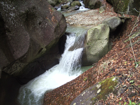 2004-11-14 038