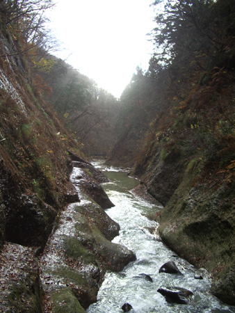 2004-11-14 041