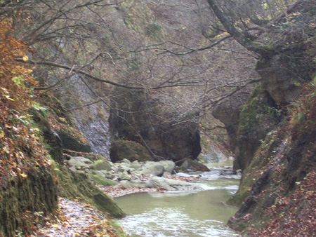 2004-11-14 043