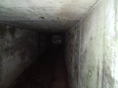 2004-11-14 051
