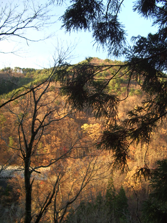 2004-11-14 058