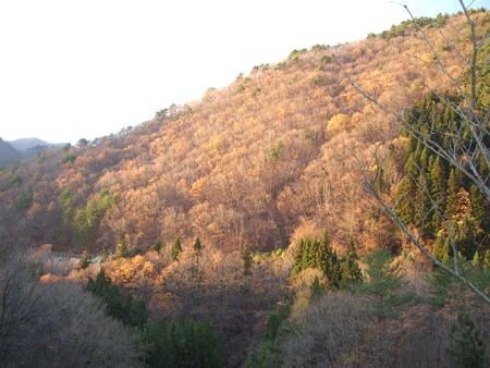 2004-11-14 062