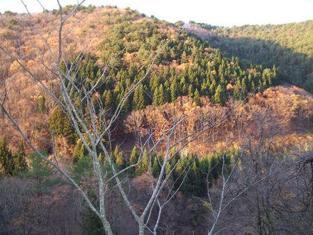 2004-11-14 063
