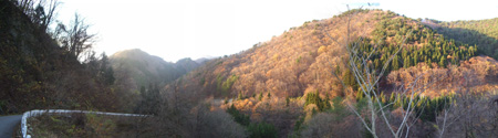 2004-11-14 Combined