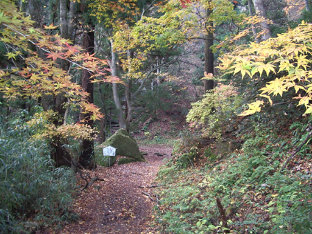 2004-11-20 024