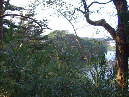 2004-11-22 027