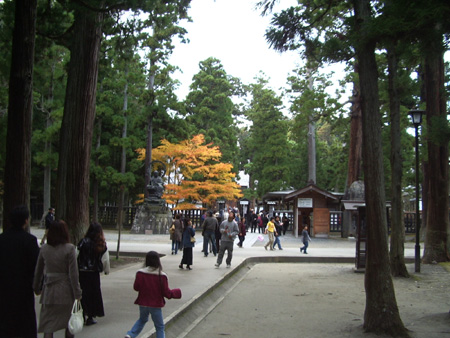 2004-11-22 036