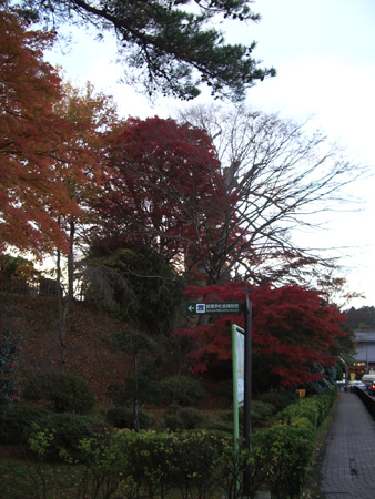 2004-11-22 044