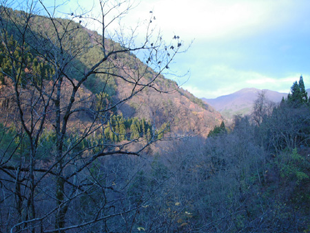 2004-11-23 083