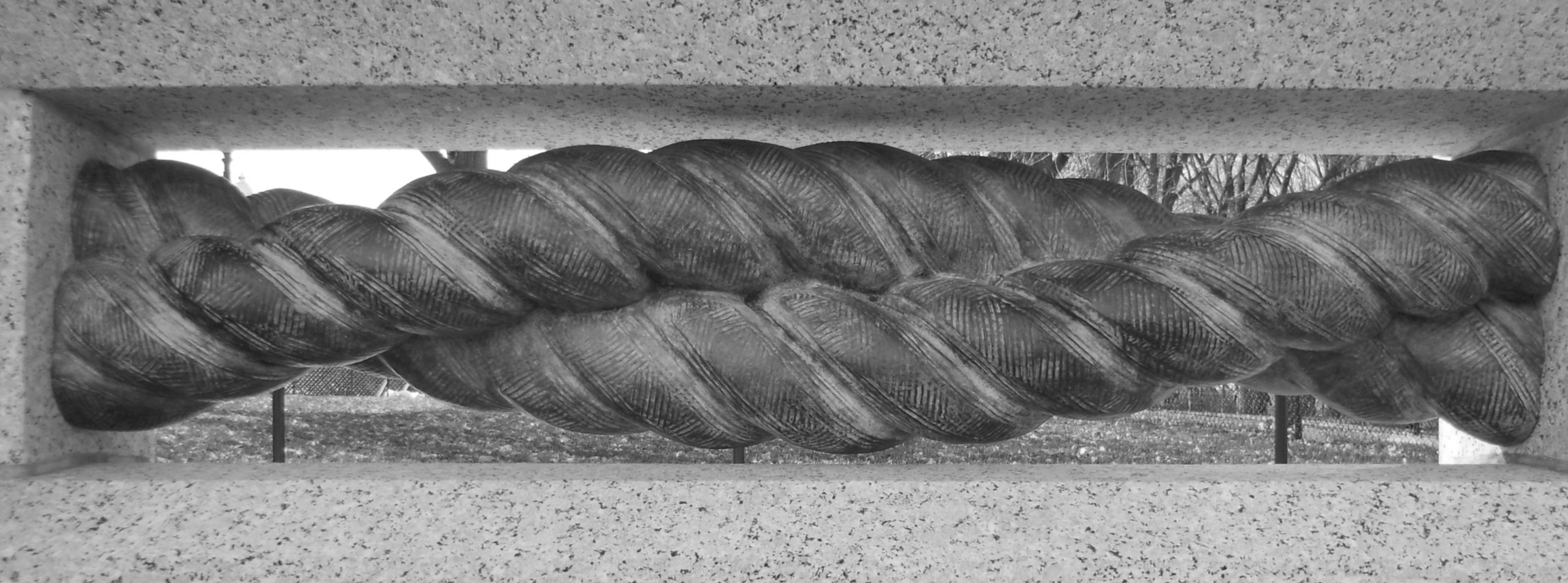 A braid in Washington