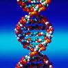 nanometre DNA base pair