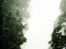 More cold fog on the ascent
