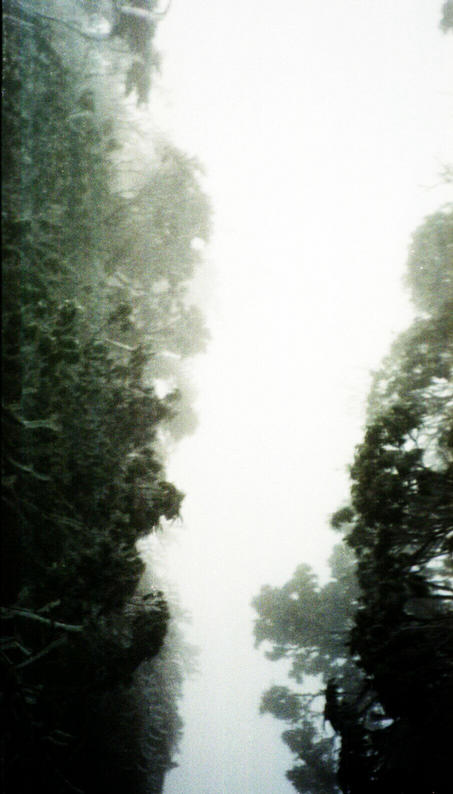 More cold fog on the ascent