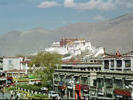 The Potala as seen from the Johkang roof