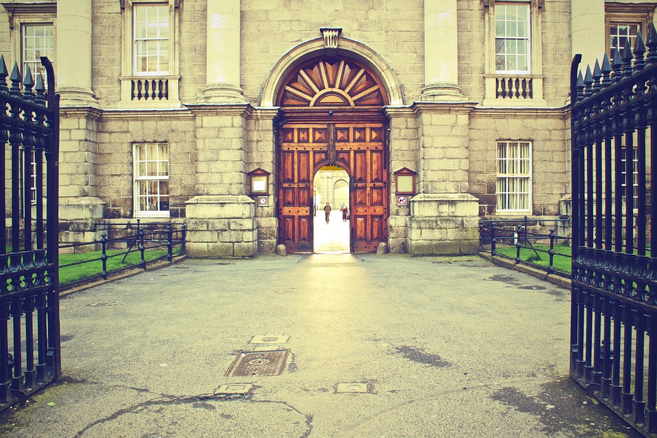 tcd