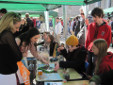 Freshers Week 11