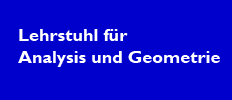 Analysis und Geometrie