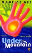 newer novel cover